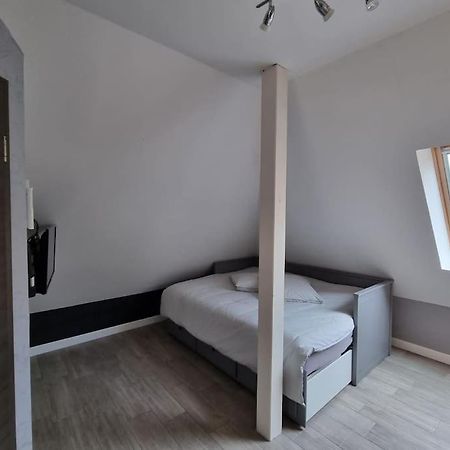 Studio De La Demi Lune Plobsheim Esterno foto